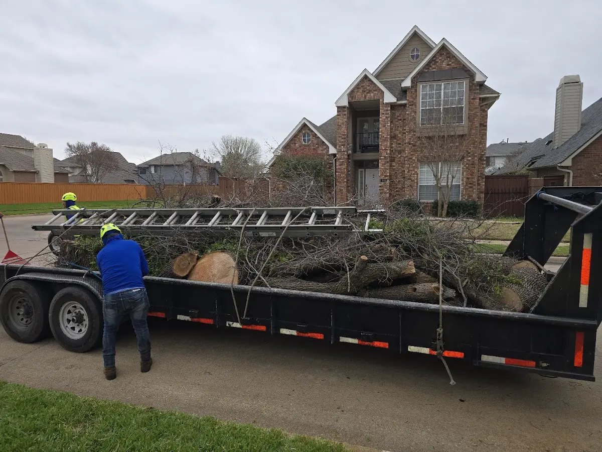 Expert Tree Fertilization with proper safety equipment in Cook